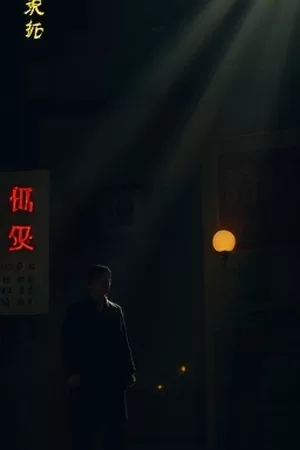 《苔藓森林》纪录片封面，逆光下湿润的苔藓地面